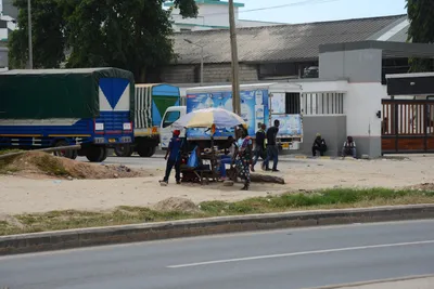 DSC_7685 (Large).JPG